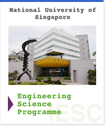 National University of Singapore Engineering Science Programme